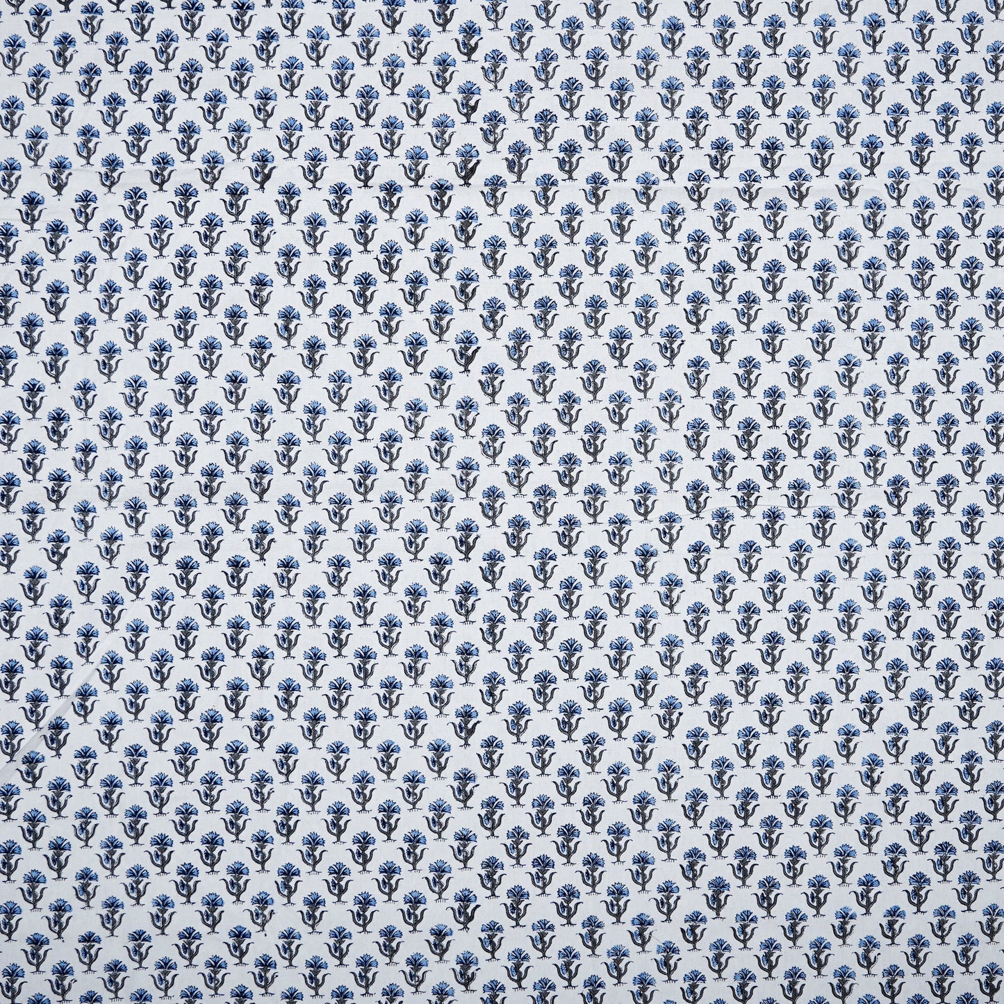 POSY BLUE