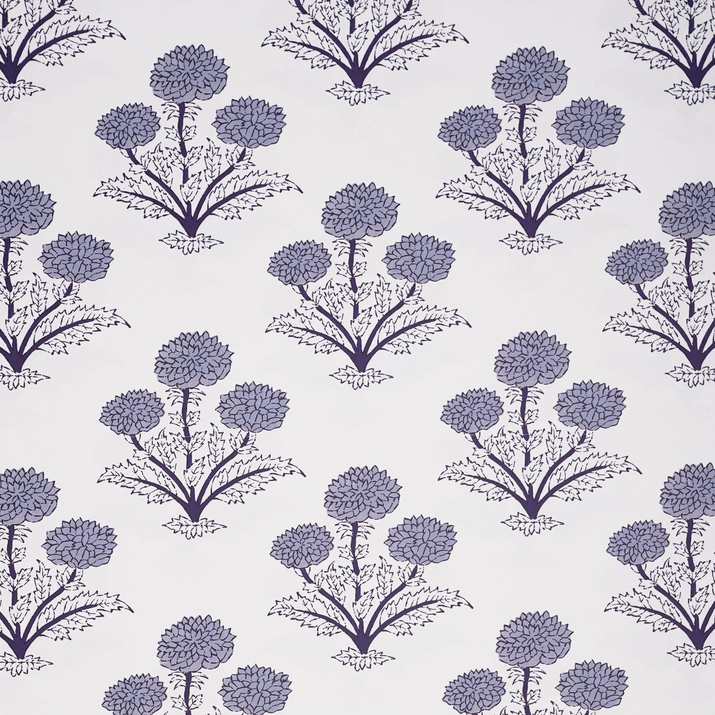POPPY BLUE