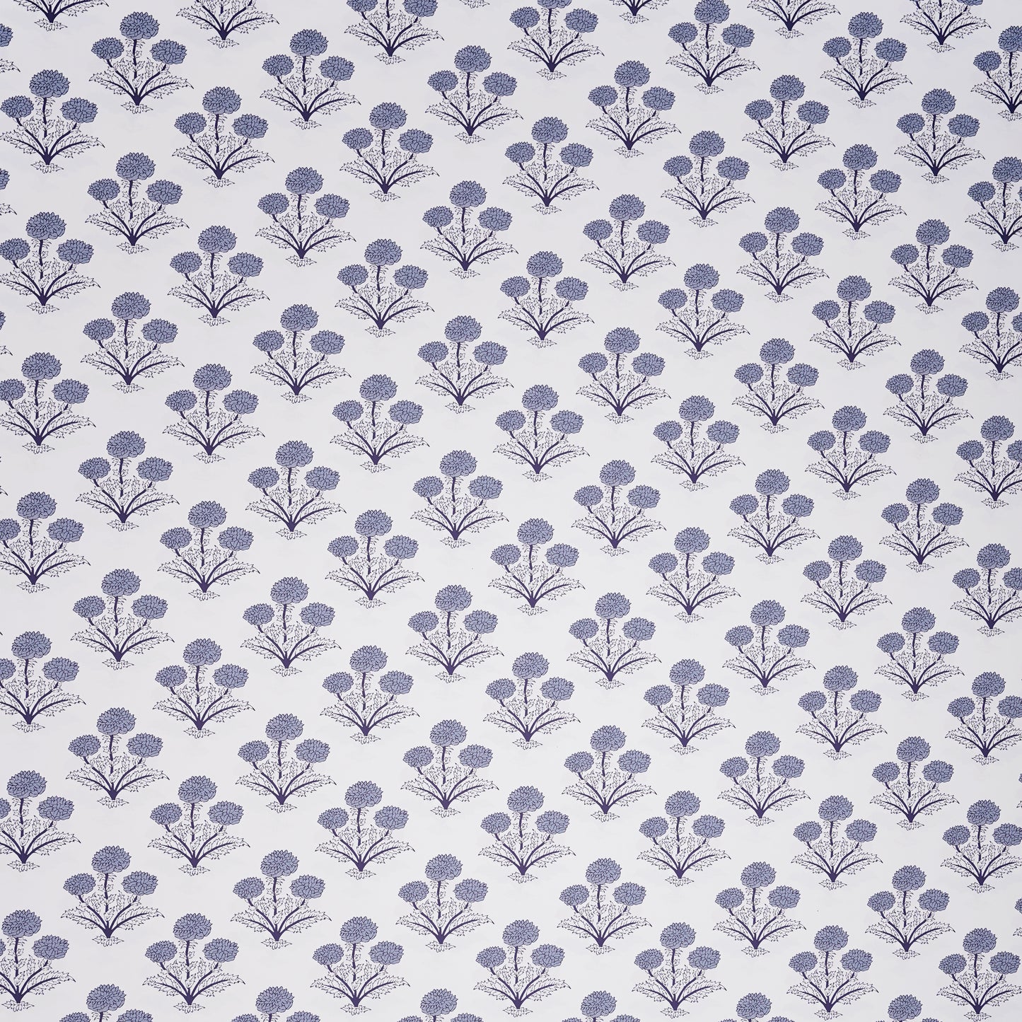 POPPY BLUE