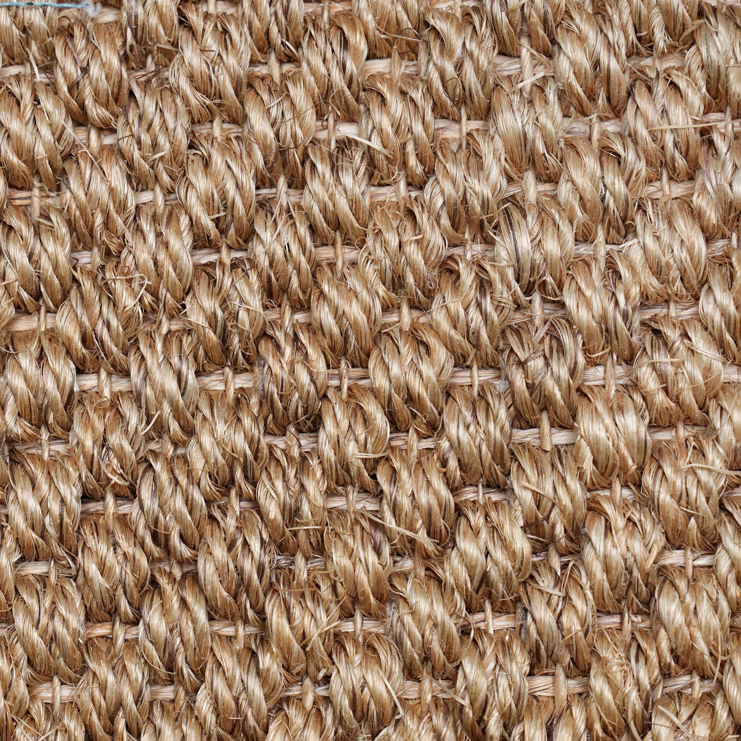 TIGER EYE BAYFORD RUG