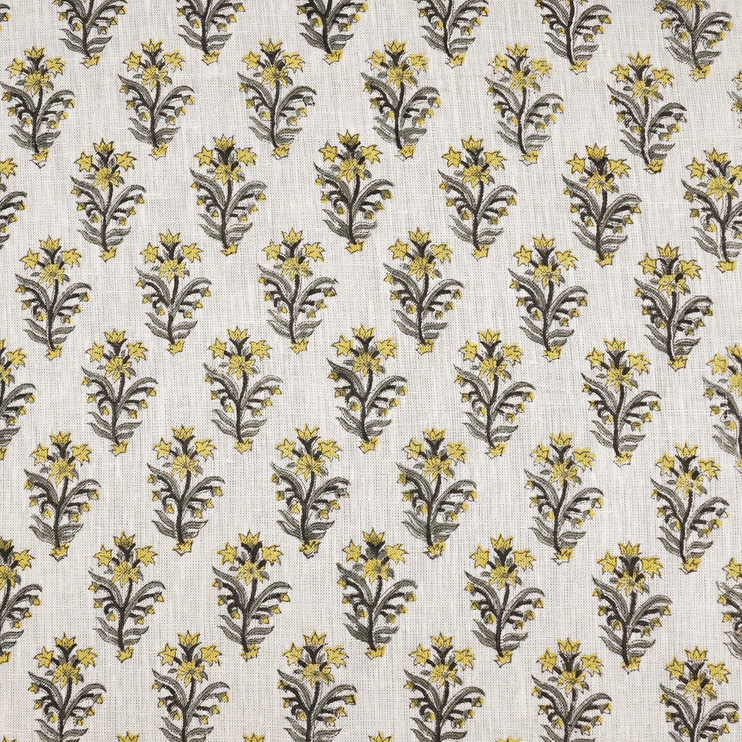 Audrey Yellow